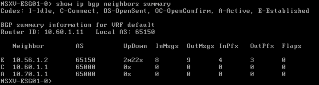 Nsx V Lab Esg Routing Configuration Vdives